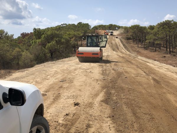 Cost of Driveway Grading in Sherman