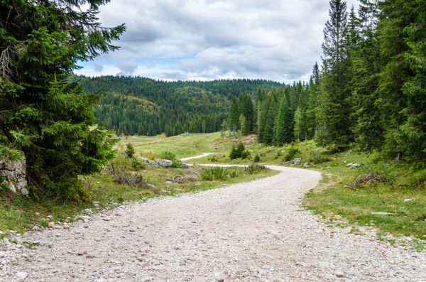Cost of Gravel Road Grading in Sherman