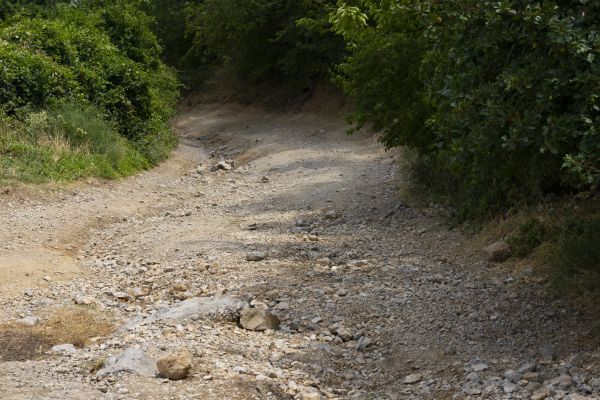 Cost of Gravel Road Pothole Repair in Sherman