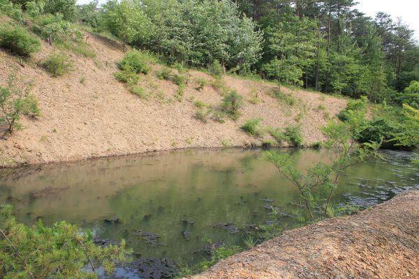 Cost of Pond Erosion Repair in Sherman